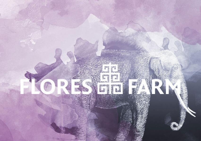 teaser_floresfarm_illustrationen
