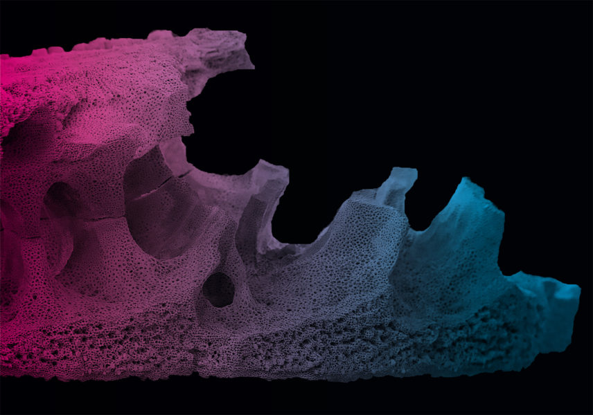 mvonh_minister-von-hammerstein-kunde-uni-stuttgart